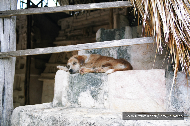 photo 214604