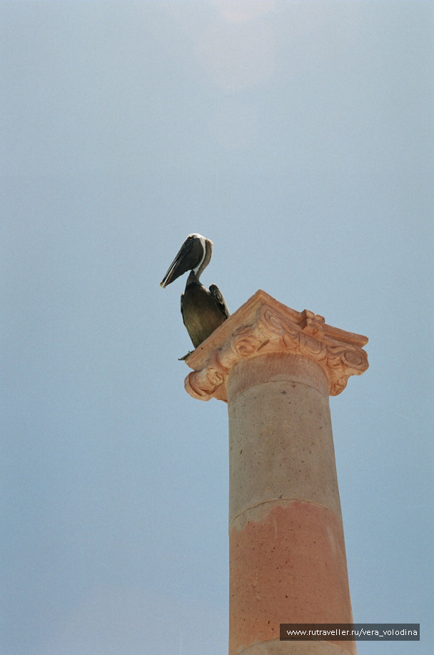 photo 214644