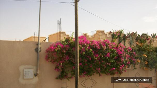 photo 399755