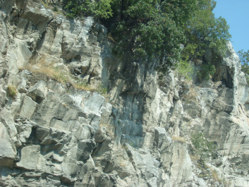 photo 470065