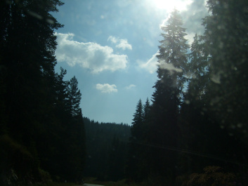 photo 470068
