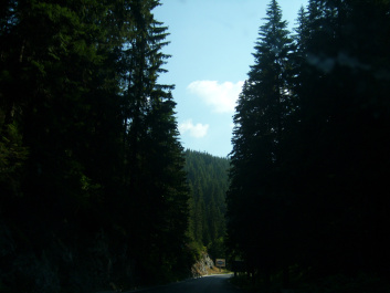 photo 470069