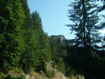 photo 470070