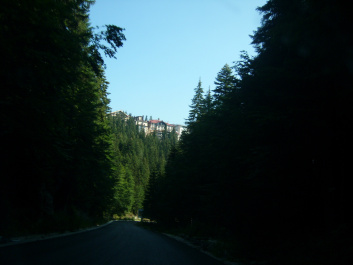 photo 470071