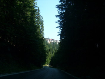 photo 470072