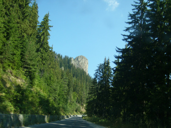 photo 470076