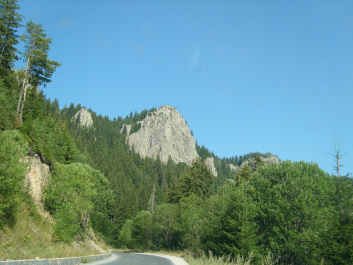photo 470077