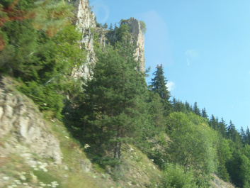 photo 470078