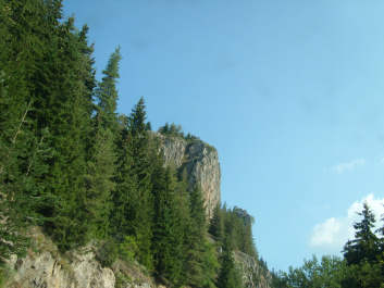 photo 470079