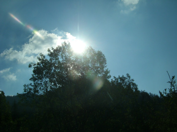 photo 470080