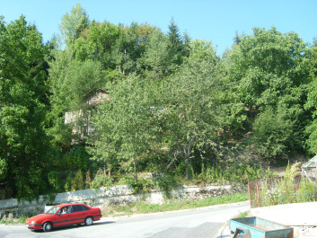 photo 470085