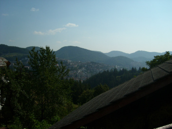 photo 470087