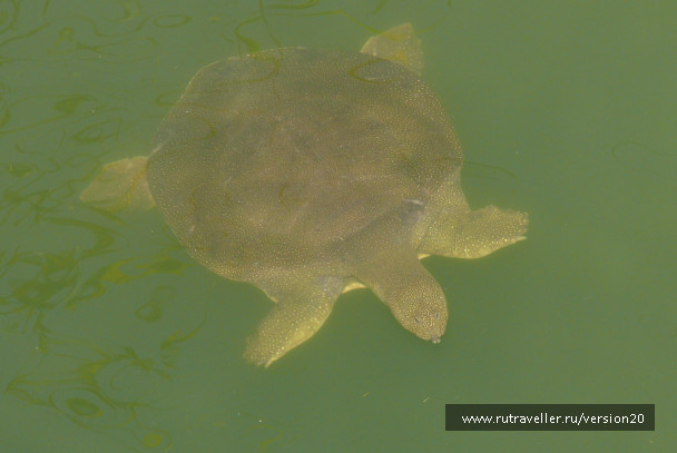 photo 104749