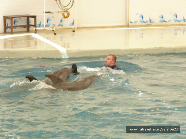 photo 105125
