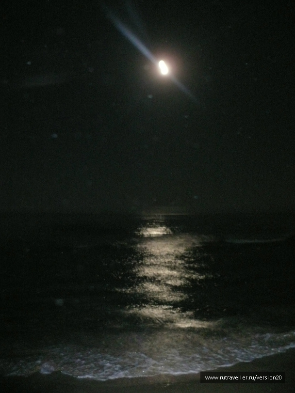 photo 110954