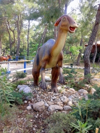 photo 1106625