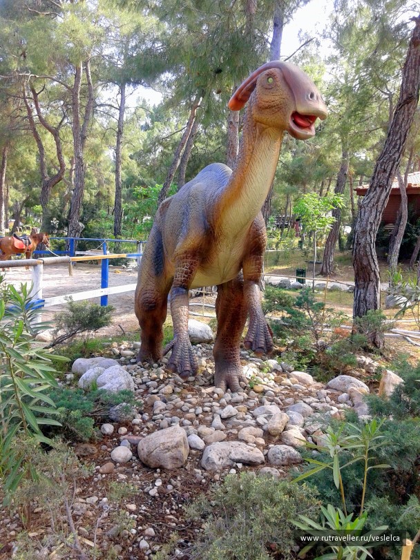 photo 1106625
