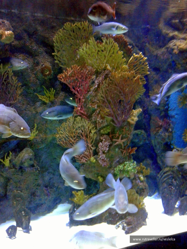 photo 1106632