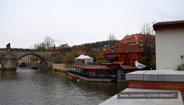 photo 1602668