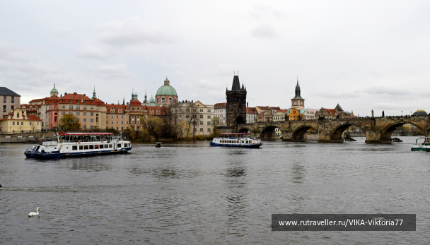 photo 1602674