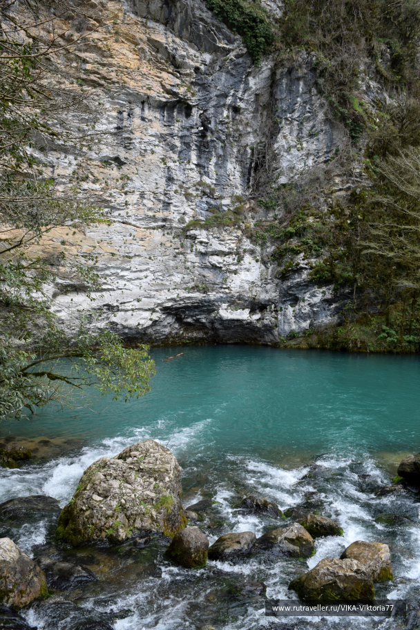 photo 1615442
