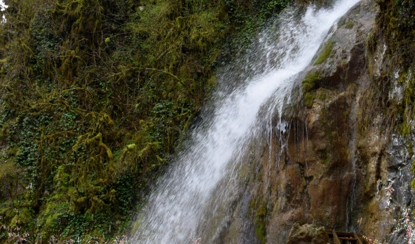 DSC_0197z