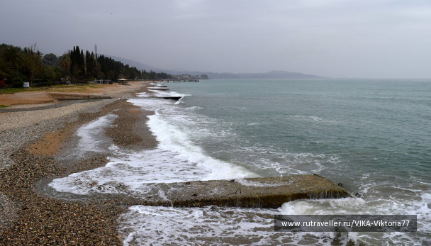 photo 1616321