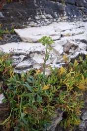 photo 1747241
