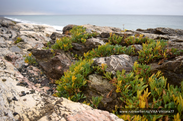 photo 1747246