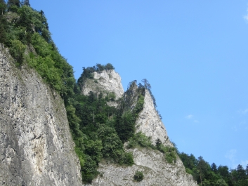photo 507666