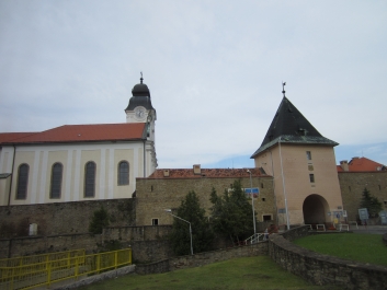 photo 533431
