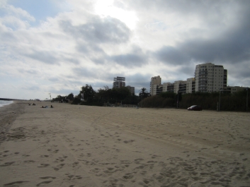 photo 513793