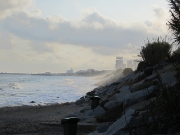 photo 515042