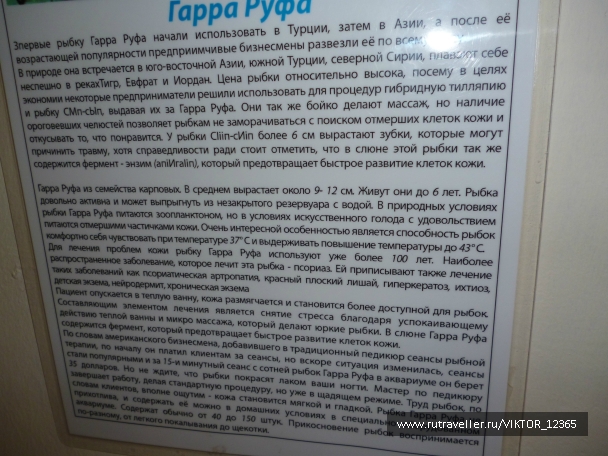 photo 788890