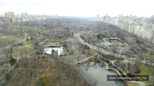 photo 875532