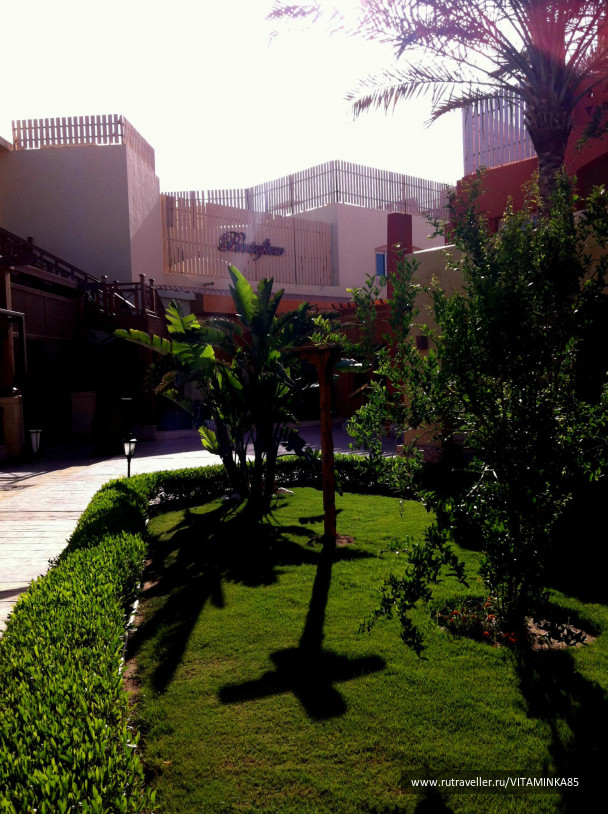 photo 93381