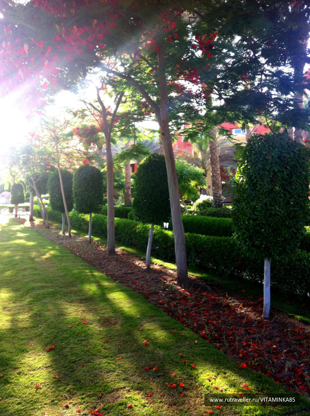 photo 93413