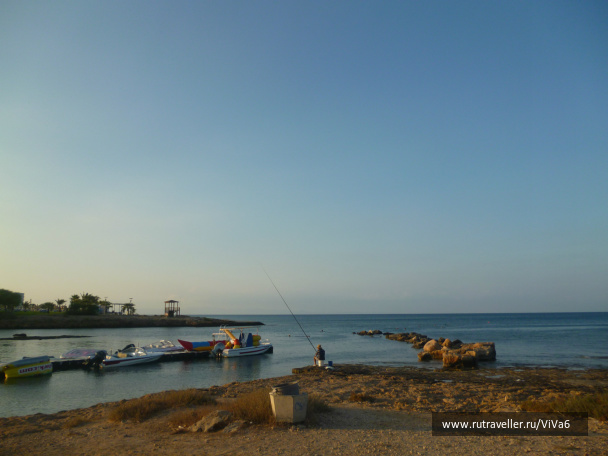photo 288572