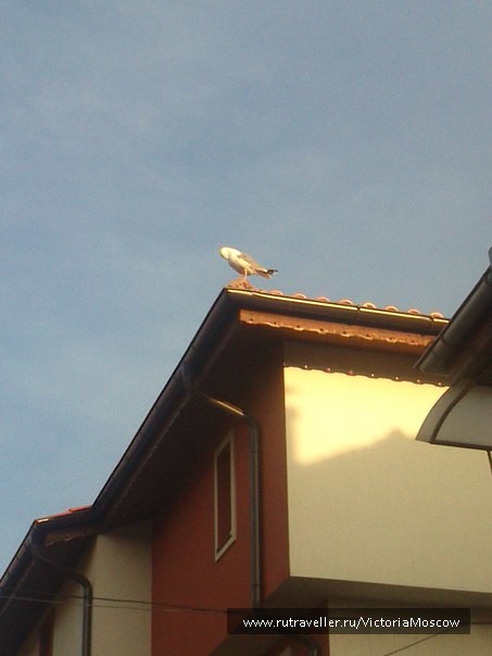 photo 422836