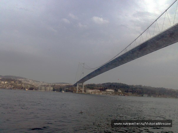 photo 422857