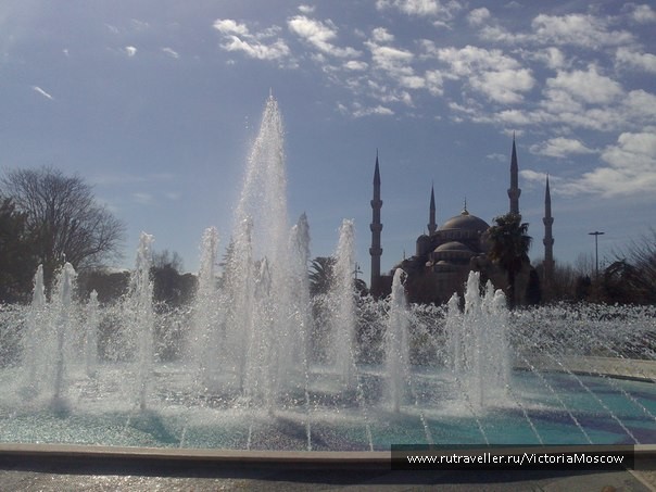 photo 422865