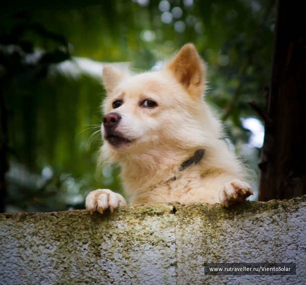 photo 127176