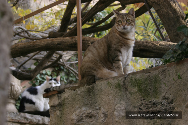 photo 127212