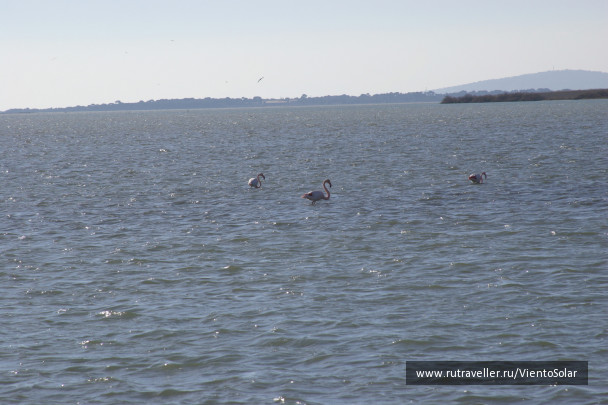 photo 127236