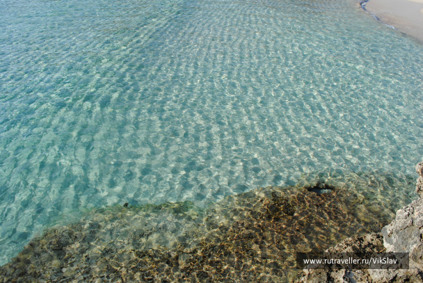 photo 431863