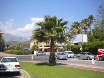 photo 1461695