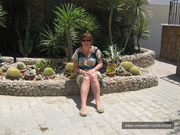 photo 1039199