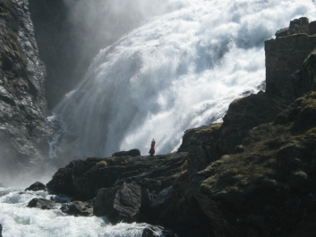 photo 237755