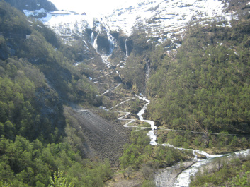 photo 238233