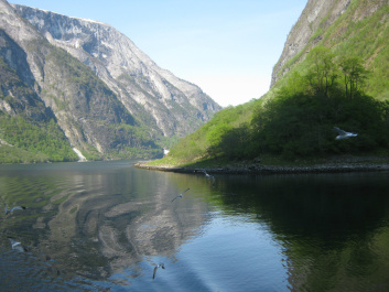 photo 265261